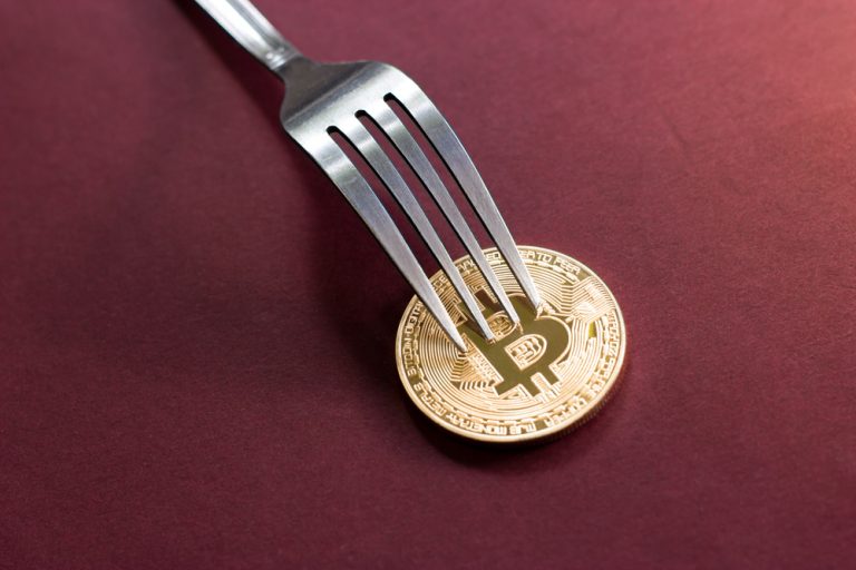 Effetto fork nelle criptovalute: le scissioni della Blockchain sottesa ai bitcoin